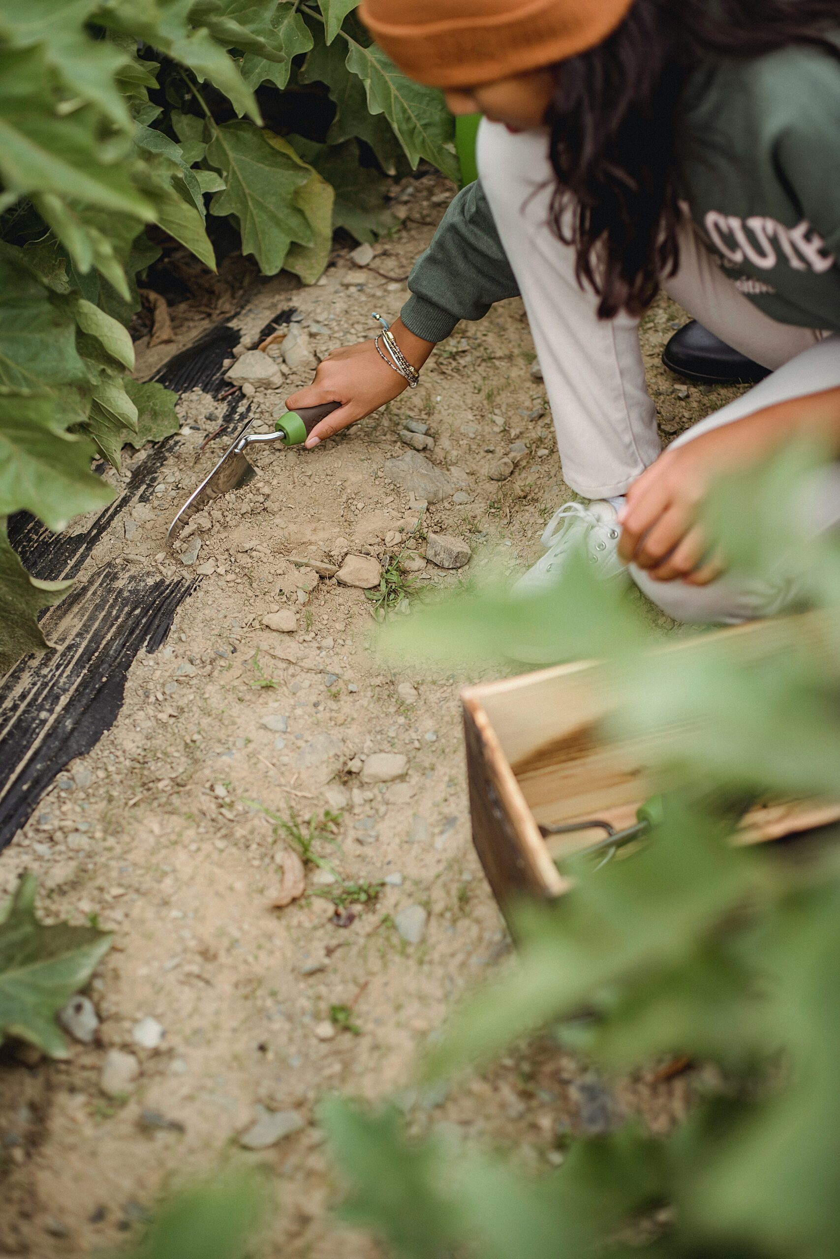 あなたが現在見ているのは 自給自足でウェルビーイングを目指します