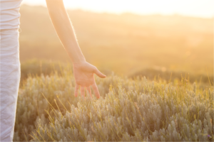 投稿についてもっと詳しく 自然か、不自然か