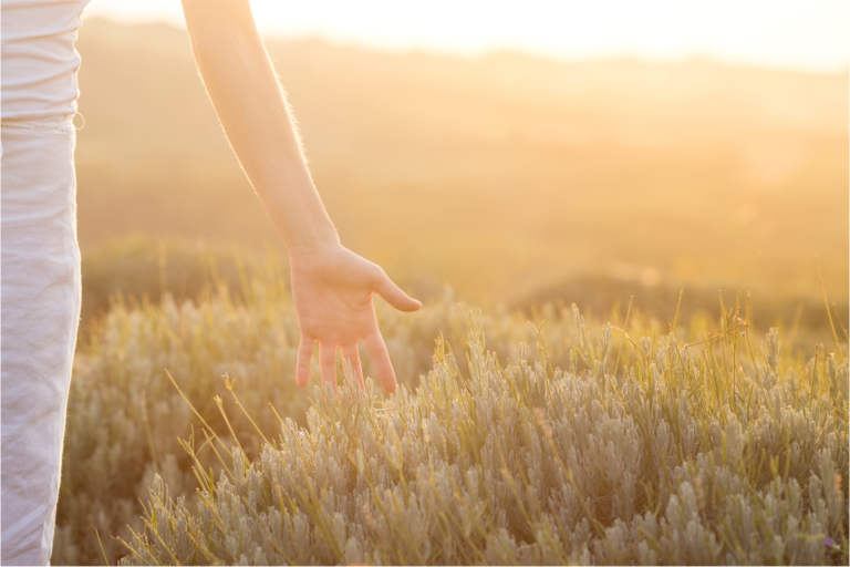 投稿についてもっと詳しく 自然か、不自然か