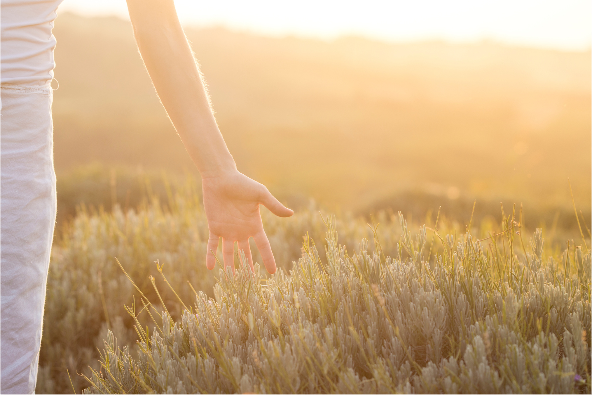あなたが現在見ているのは 自然か、不自然か