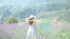 投稿についてもっと詳しく 人間関係、自分の軸、自信は”しつもん”から