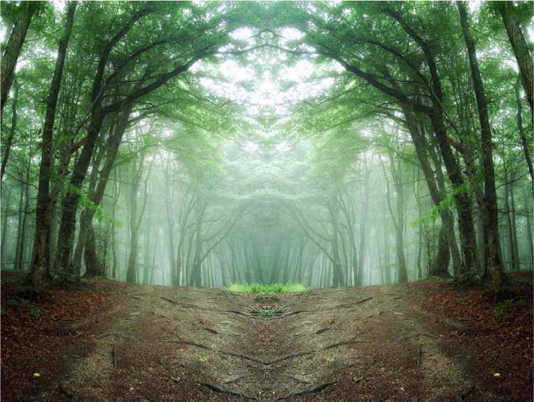 投稿についてもっと詳しく 正解思考から、わたし思考へ