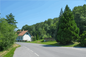 投稿についてもっと詳しく 【すぐそばにある、わたしの幸せの見つけ方】Vol.18アスファルトの法則