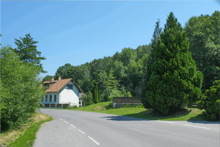 投稿についてもっと詳しく 【すぐそばにある、わたしの幸せの見つけ方】Vol.18アスファルトの法則