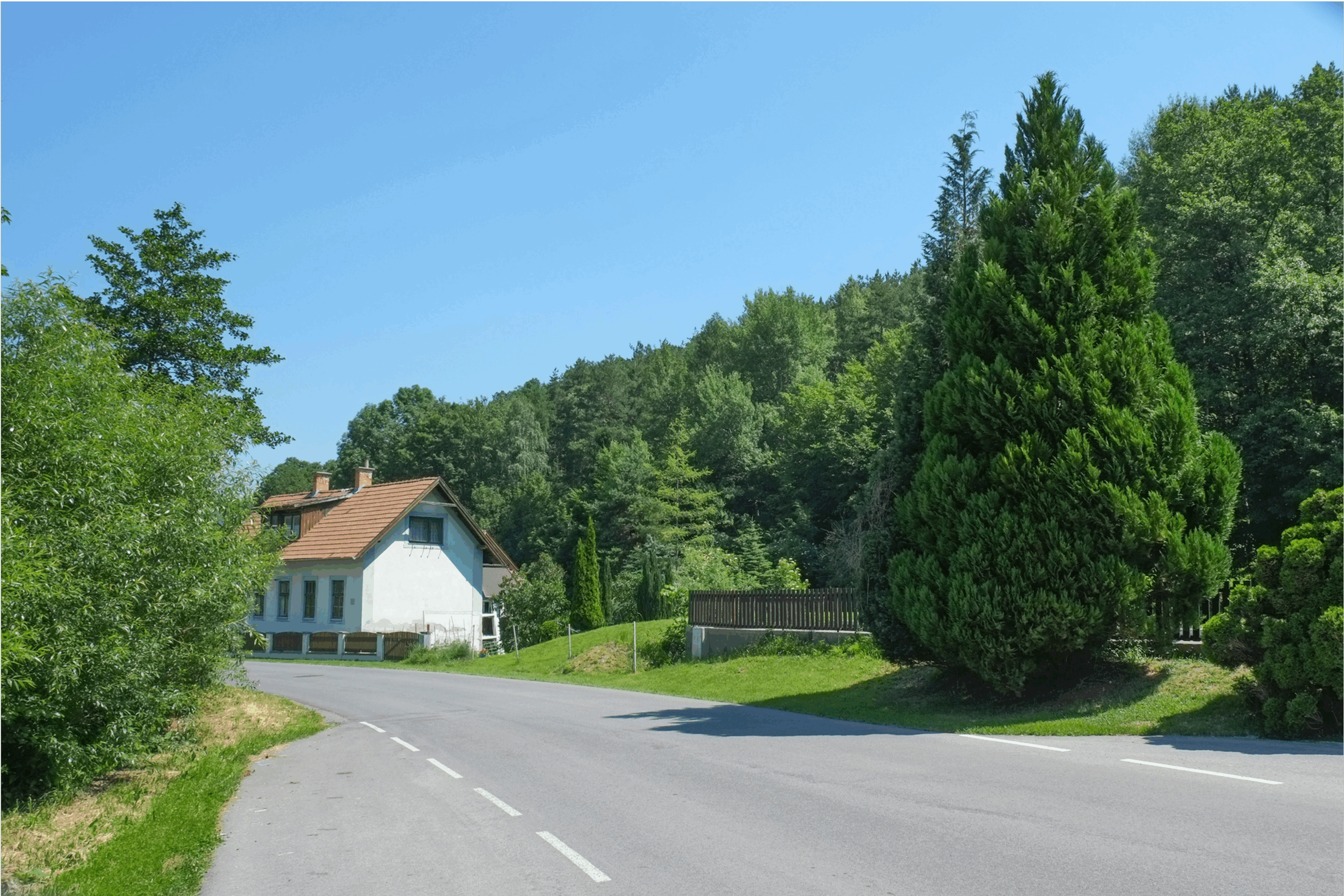 投稿についてもっと詳しく 【すぐそばにある、わたしの幸せの見つけ方】Vol.18アスファルトの法則