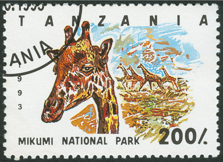 投稿についてもっと詳しく 【すぐそばにある、わたしの幸せの見つけ方】Vol.12コンビニの法則