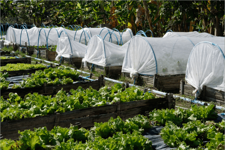 投稿についてもっと詳しく 【すぐそばにある、わたしの幸せの見つけ方】Vol.11若葉寒の法則