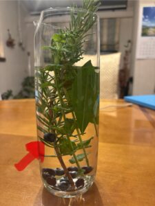 投稿についてもっと詳しく 【すぐそばにある、わたしの幸せの見つけ方】Vol.89奇跡の法則